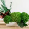 Preserved moss and botanical arrangement in a rectangular planter resting on a wooden surface
