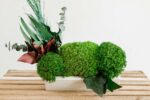 Concrete Vase with Preserved Reindeer Moss and Plants