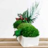 Angled view of preserved green moss, eucalyptus, and foliage in a white concrete trough planter
