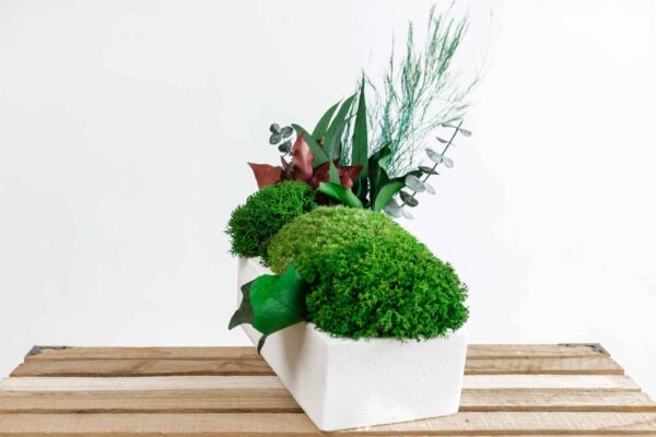 Concrete Vase with Preserved Reindeer Moss and Plants - Image 3