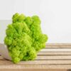 White hexagonal concrete vase tilted sideways filled with green reindeer moss on a wooden slat surface.