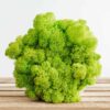 Top view of textured light green reindeer moss in a hexagonal vase