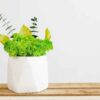 White geometric concrete vase with vibrant green moss, eucalyptus sprigs, and yellow leaves on a wood board.