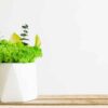 Geometric vase with preserved moss arrangement and botanical accents on a wooden surface.