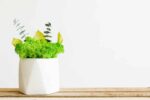 Concrete Vase with Moss and Plants