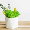 Geometric white concrete vase with green moss and eucalyptus stems on a wooden table