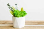Concrete Vase with Moss and Plants - Image 3