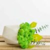 Geometric white concrete planter lying on its side with green moss and eucalyptus leaves on wooden slats