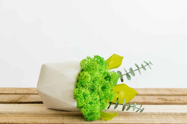 Concrete Vase with Moss and Plants - Image 4