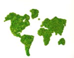 Iceland Moss World Map – Mainland