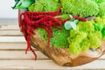 Wooden Bowl 30 cm with Reindeer Moss, Cushion Moss and Plants - Image 4