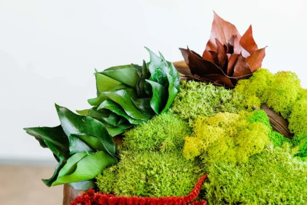 Wooden Bowl 30 cm with Reindeer Moss, Cushion Moss and Plants - Image 3