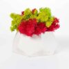 White polygon concrete planter filled with colorful red, chartreuse, and green preserved moss