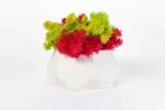 Polygon Concrete Vase with Preserved Reindeer Moss - Image 4