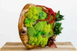 Wooden Bowl 30 cm with Reindeer Moss, Cushion Moss and Plants - Image 2