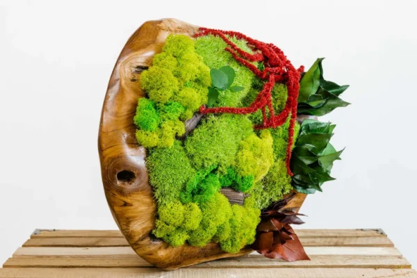 Wooden Bowl 30 cm with Reindeer Moss, Cushion Moss and Plants - Image 2