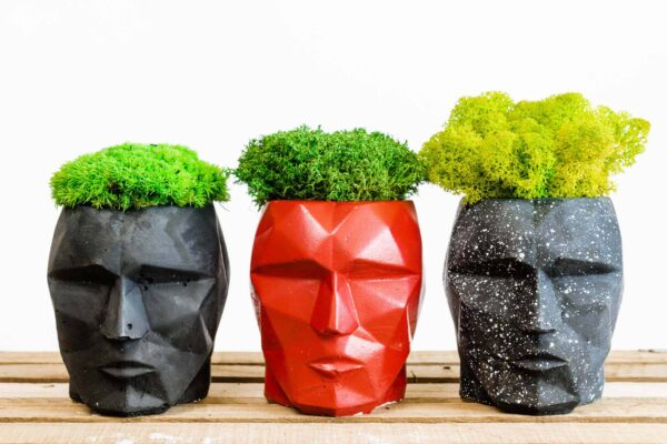 3D Concrete Vase with Reindeer Moss Provence and Cushion Moss - Image 3