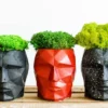 Geometric head-shaped concrete planters filled with preserved moss on a wooden surface.