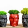 Geometric concrete head vases in black, red, and speckled finish with green moss on a wooden surface