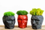 3D Concrete Vase with Reindeer Moss Provence and Cushion Moss - Image 2
