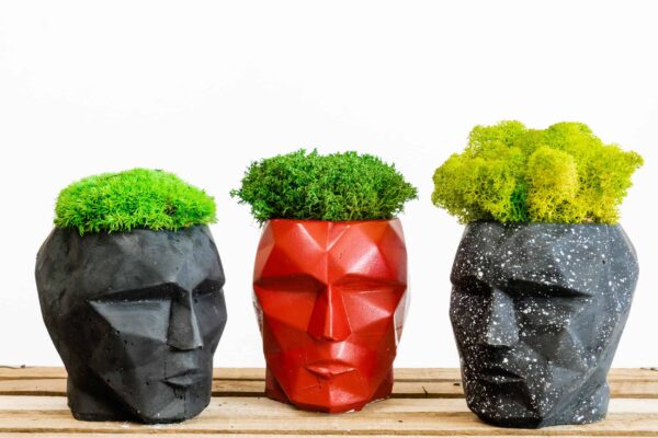 3D Concrete Vase with Reindeer Moss Provence and Cushion Moss - Image 2