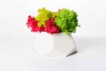 Polygon Concrete Vase with Preserved Reindeer Moss