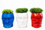 3D Concrete Vase with Reindeer Moss Provence and Cushion Moss - Image 4