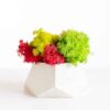 Geometric white concrete vase with vibrant green, yellow, and red preserved reindeer moss