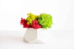 Polygon Concrete Vase with Preserved Reindeer Moss - Image 3