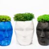 Geometric faceted concrete head planters filled with preserved moss on a white background