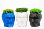 3D Concrete Vase with Reindeer Moss Provence and Cushion Moss