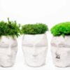 Three white geometric concrete head vases filled with textured green mosses against a plain white background.