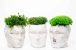 3D Concrete Vase with Reindeer Moss Provence and Cushion Moss - Image 5