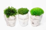 Concrete 3D Vase with Preserved Reindeer Moss and Plants - Image 2