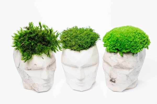 Concrete 3D Vase with Preserved Reindeer Moss and Plants - Image 2
