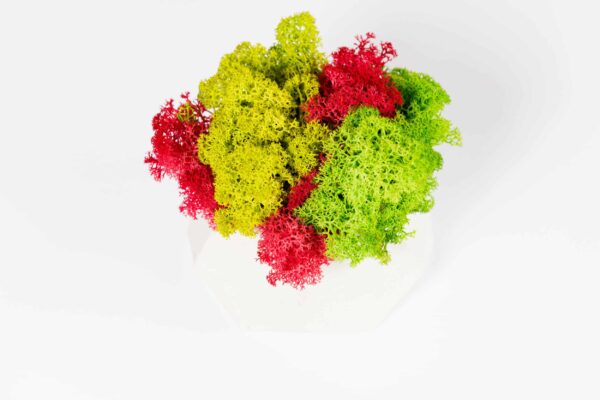 Polygon Concrete Vase with Preserved Reindeer Moss - Image 2