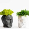 Black speckled and white marbled concrete head planters filled with green moss on a white background