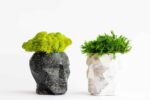 Concrete 3D Vase with Preserved Reindeer Moss and Plants - Image 3