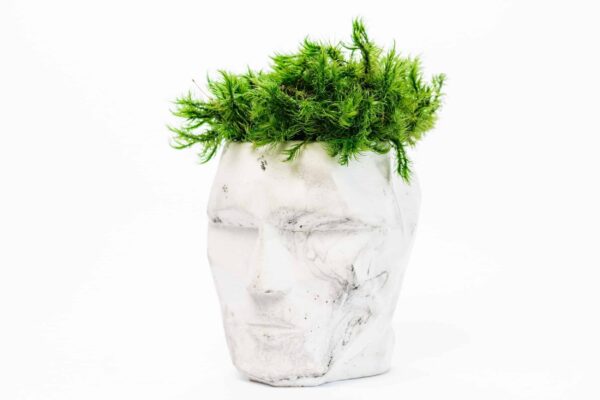Concrete 3D Vase with Preserved Reindeer Moss and Plants - Image 4