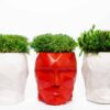 Geometric head concrete vases in red and white filled with green moss on a white background