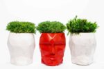 Concrete 3D Vase with Preserved Reindeer Moss and Plants - Image 5