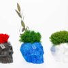 Geometric skull concrete planters in black, speckled blue, and white with a red rose and green moss
