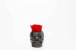 3D Concrete Vase with Rose