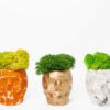 Orange, gold, and marble geometric skull planters filled with green reindeer moss on a white background