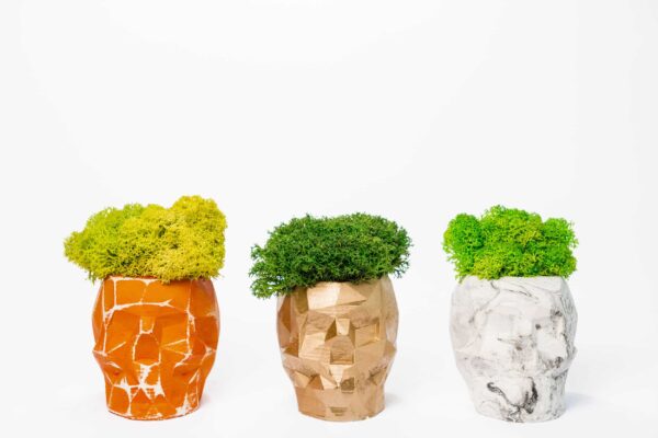 3D Concrete Vase with Reindeer Moss - Image 2