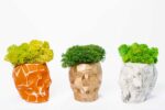 3D Concrete Vase with Reindeer Moss
