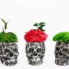 Geometric skull-shaped concrete vases with preserved moss and plants on a white background