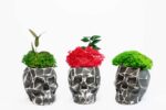 3D Concrete Vase with Reindeer Moss and Plants