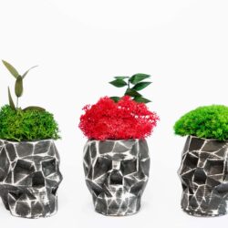 3D Concrete Vase with Reindeer Moss and Plants