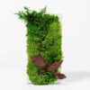 Vertical concrete vase with vibrant green moss, fern greenery, and reddish-brown leaves against a white backdrop.